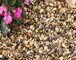Lomond Gravel