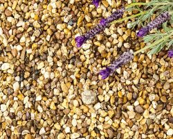 Rhinegold Gravel 10mm