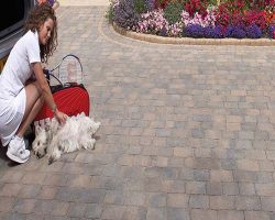 Sarsen Sorrento Paving