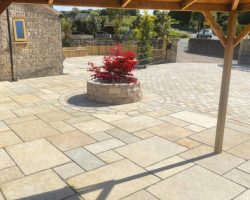 Honey Yellow Limestone